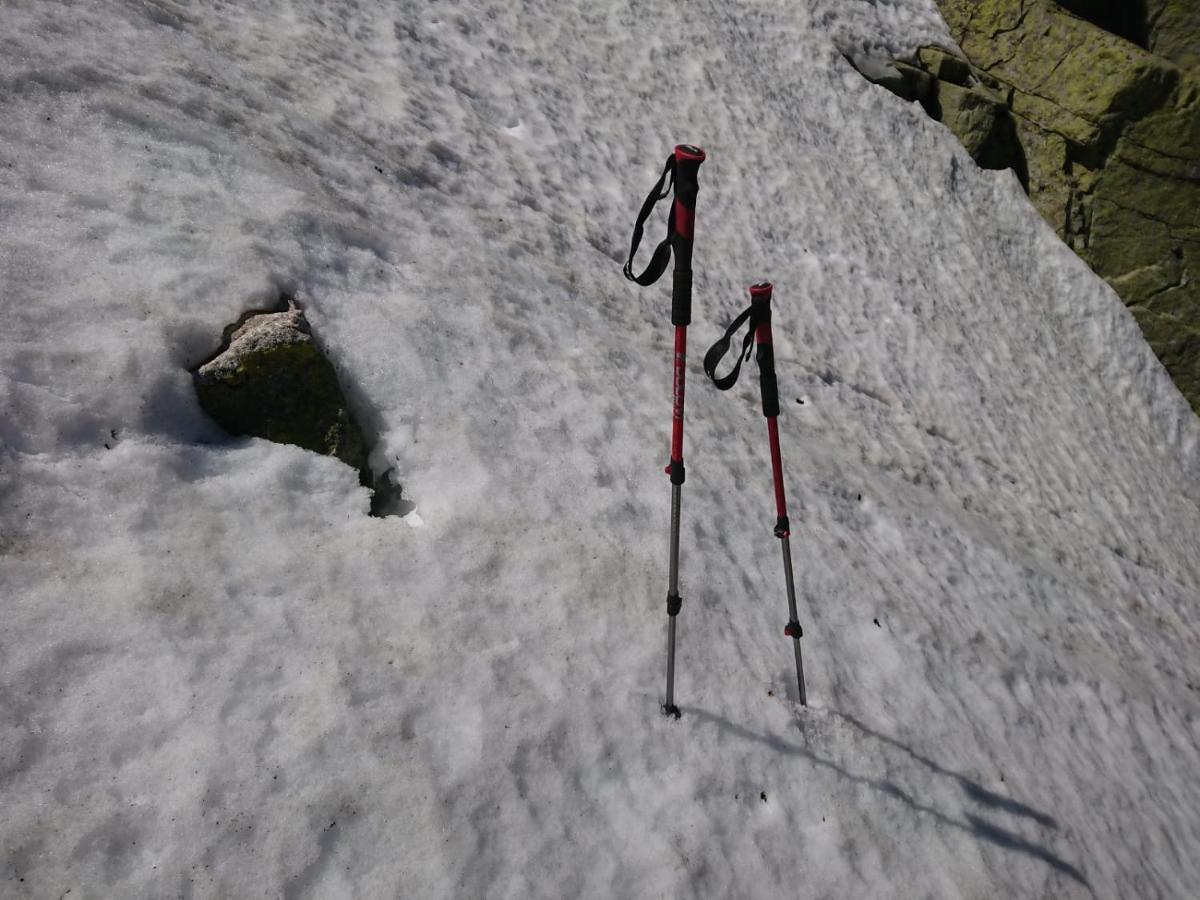 Cara Norte De Gredos Хойос дел Еспино Екстериор снимка